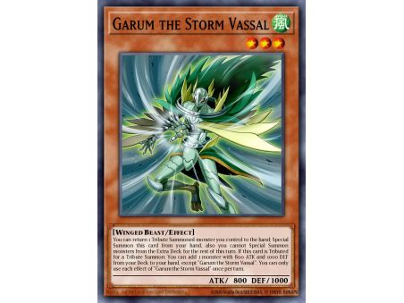 Garum the Storm Vassal (Common)