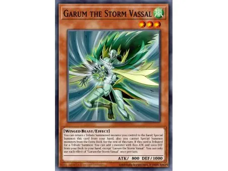 Garum the Storm Vassal (Common)