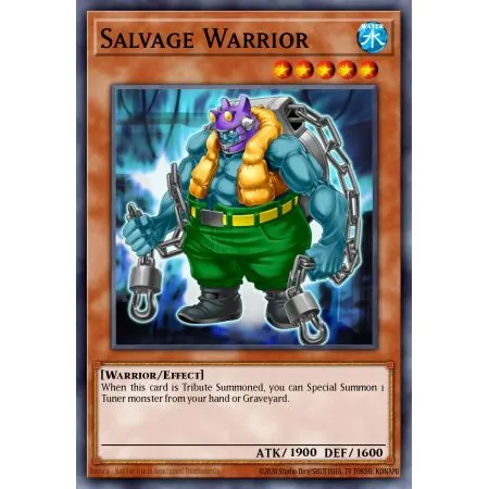 Salvage Warrior (Rare)