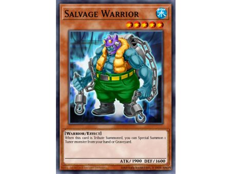 Salvage Warrior (Rare)