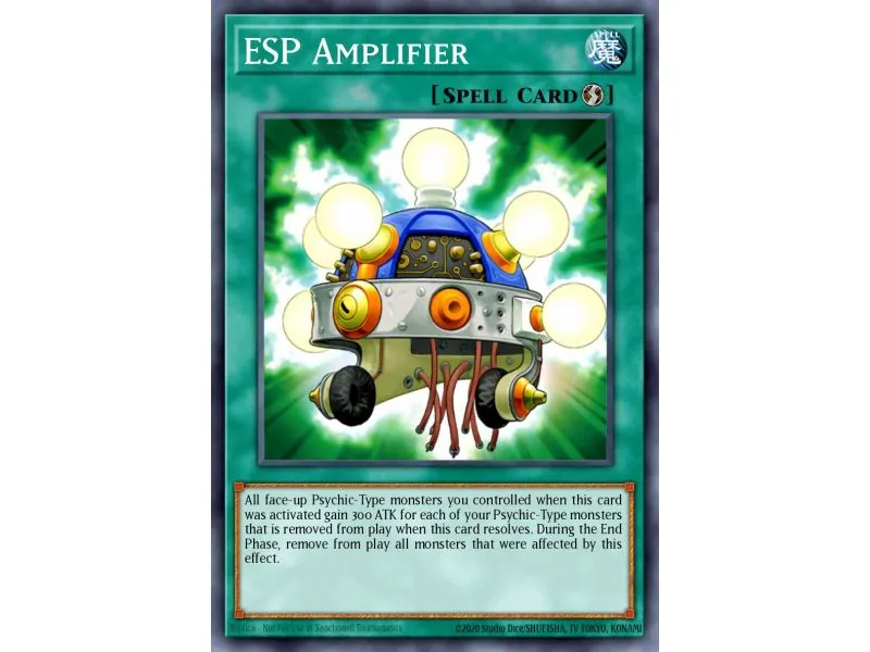 ESP Amplifier (Common)