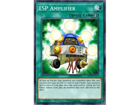 ESP Amplifier (Common)