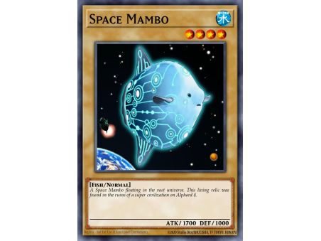 Space Mambo (Common)