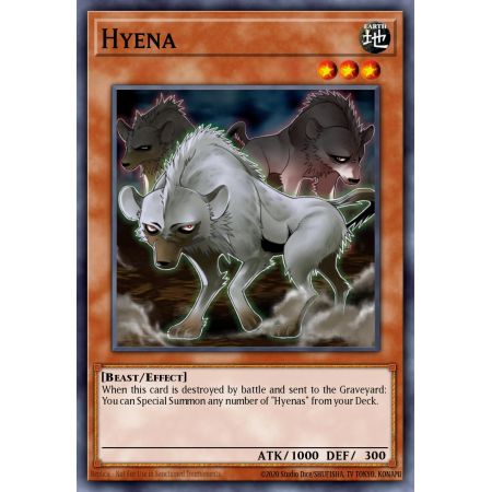 Hyena (Common)