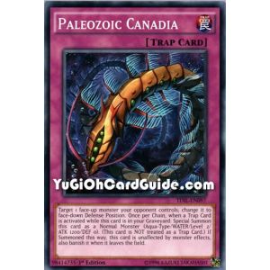 Paleozoic Canadia (Common)