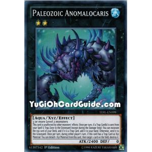 Paleozoic Anomalocaris (Super Rare)