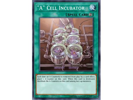 "A" Cell Incubator (Common)