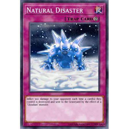 Natural Disaster (Common)