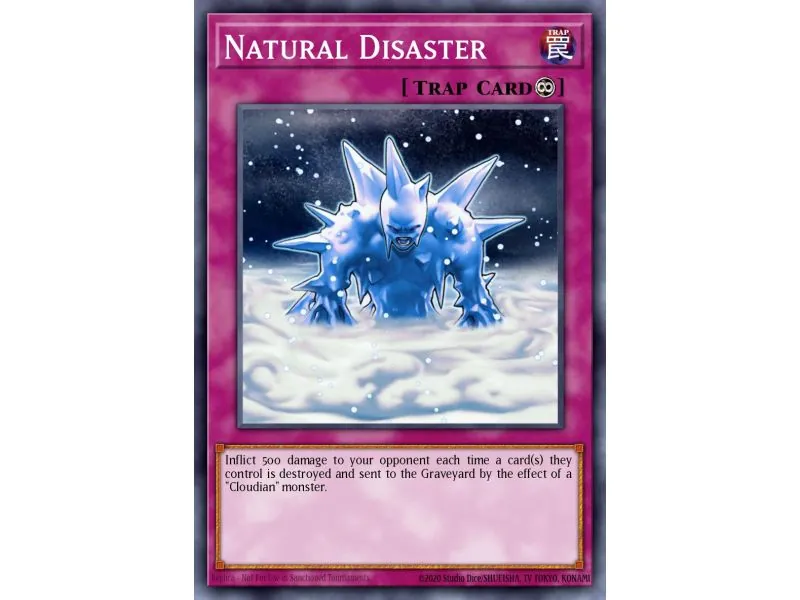 Natural Disaster (Common)