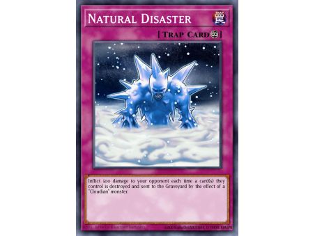 Natural Disaster (Common)