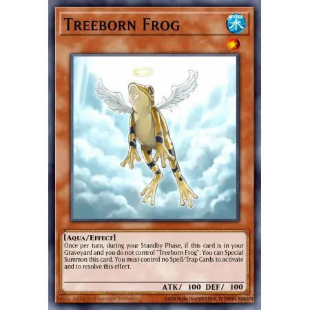 Treeborn Frog (Common)