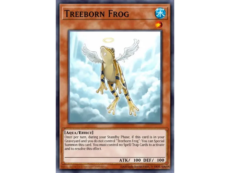 Treeborn Frog (Common)