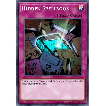 Hidden Spellbook (Common)