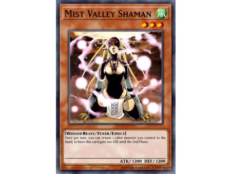 Mist Valley Shaman (Secret Rare)