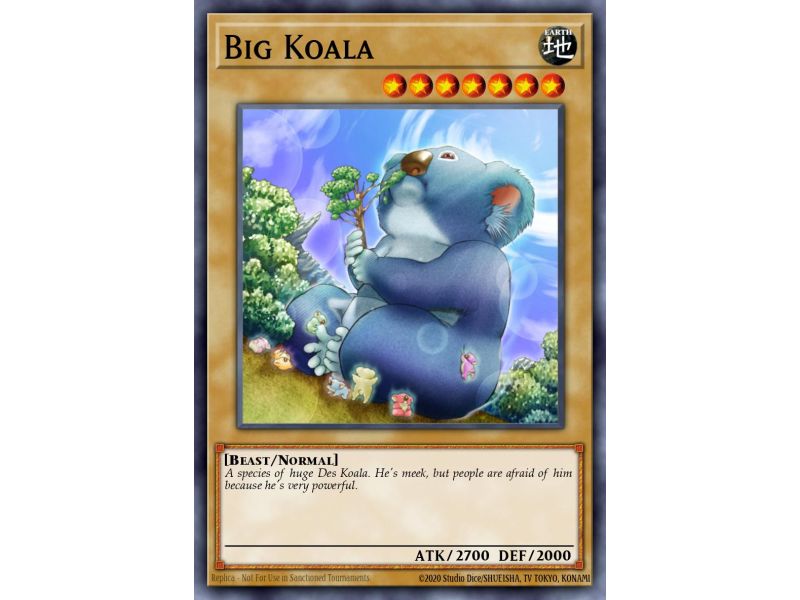 Big Koala (Common)