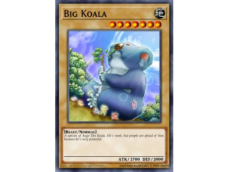 Big Koala (Common)