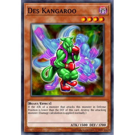 Des Kangaroo (Common)