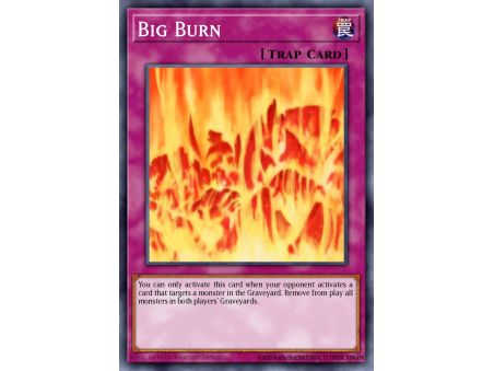Big Burn (Super Rare)