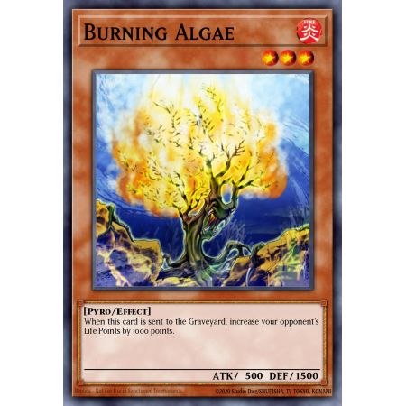 Burning Algae (Common)