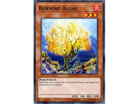 Burning Algae (Common)