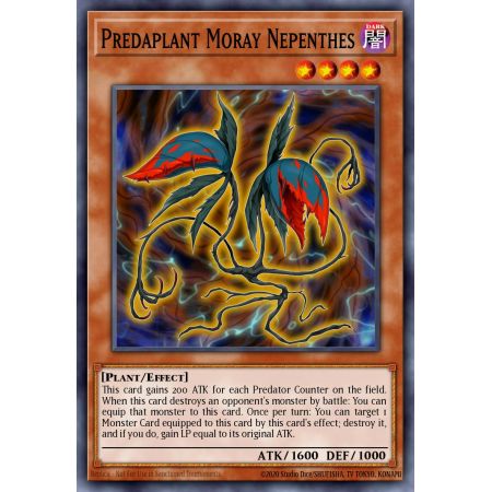 Predaplant Moray Nepenthes (Common)