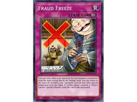 Fraud Freeze (Common)
