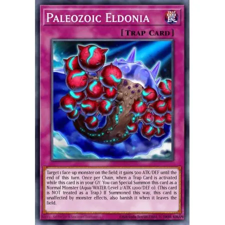 Paleozoic Eldonia (Common)