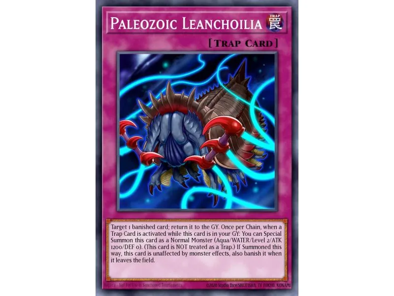 Paleozoic Leanchoilia (Common)