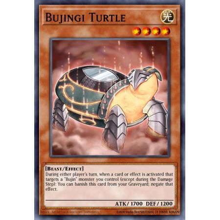 Bujingi Turtle (Common)
