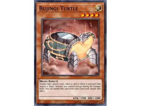 Bujingi Turtle (Common)