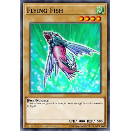 Flying Fish (Common)