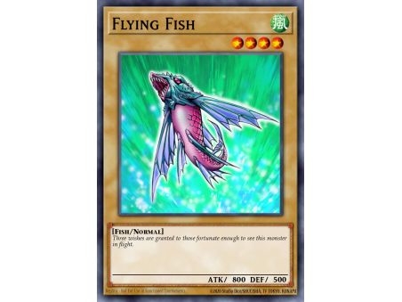 Flying Fish (Common)