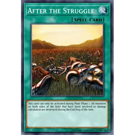 After the Struggle (Rare)