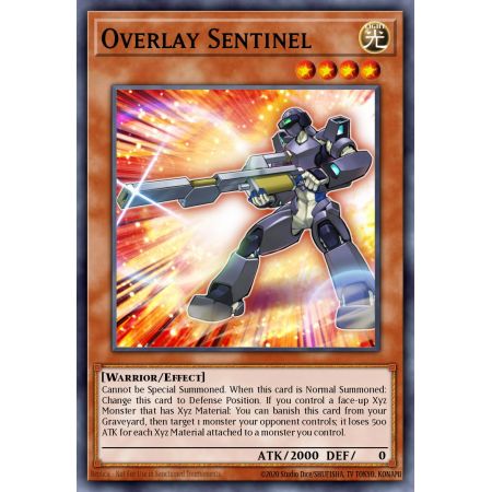 Overlay Sentinel (Common)