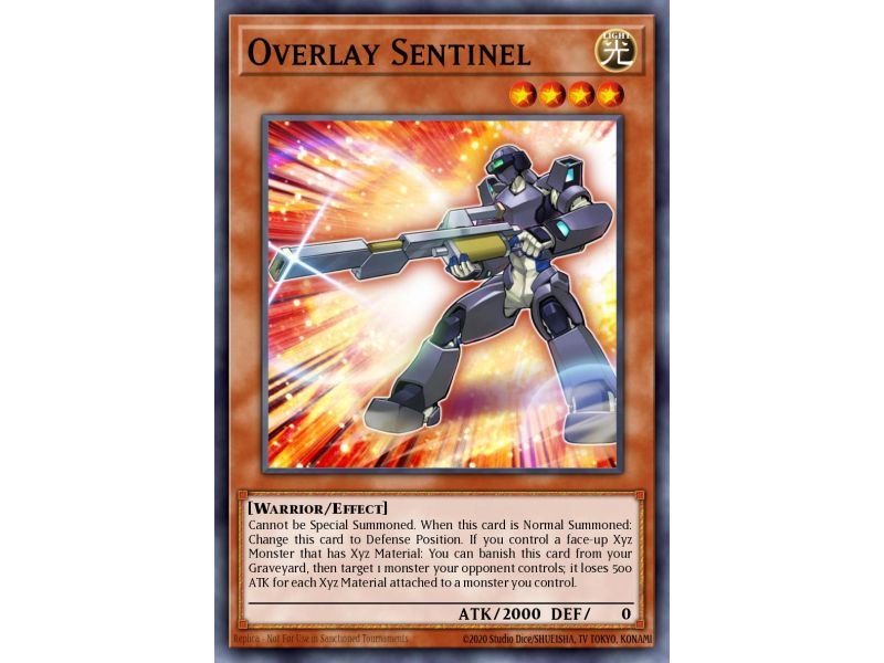 Overlay Sentinel (Common)