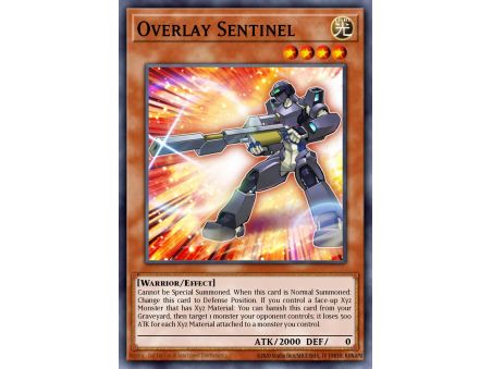 Overlay Sentinel (Common)