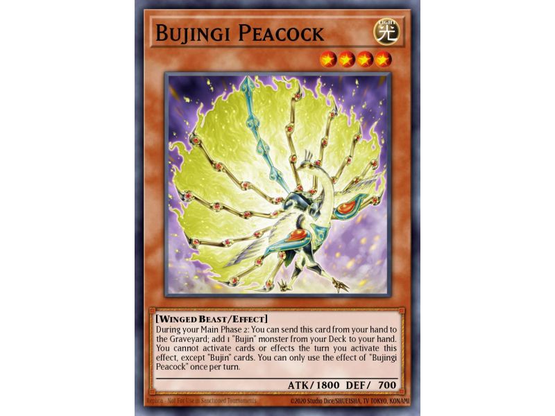 Bujingi Peacock (Rare)