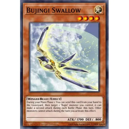Bujingi Swallow (Common)