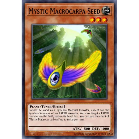 Mystic Macrocarpa Seed (Common)