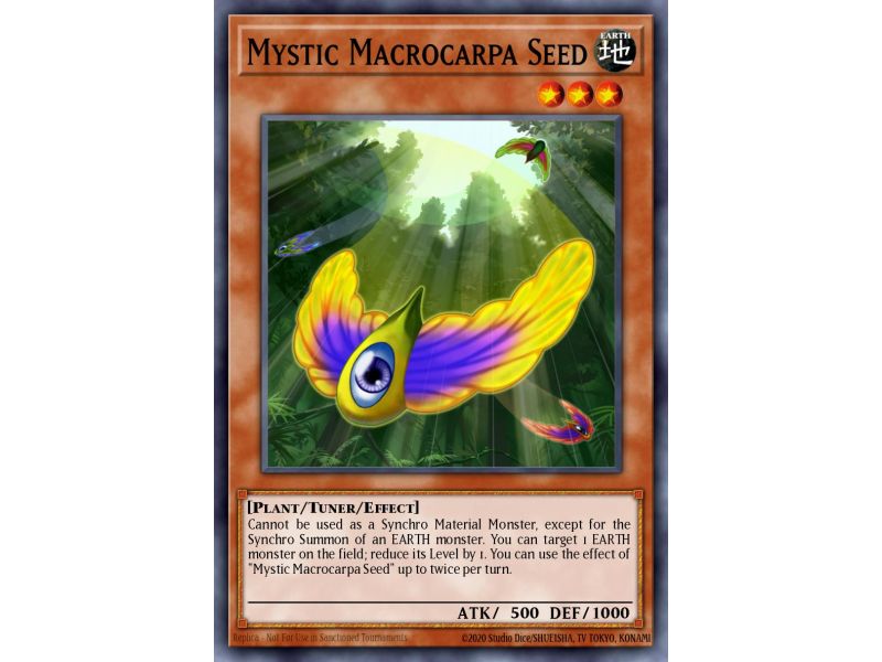 Mystic Macrocarpa Seed (Common)