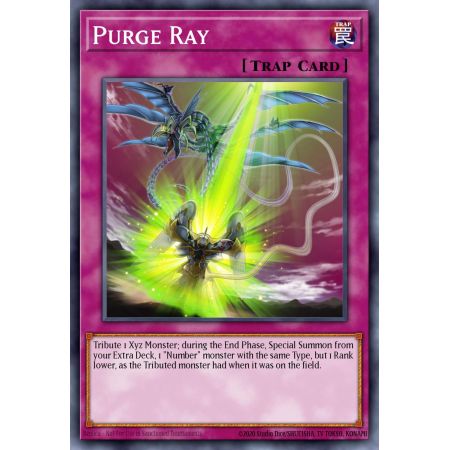 Purge Ray (Common)