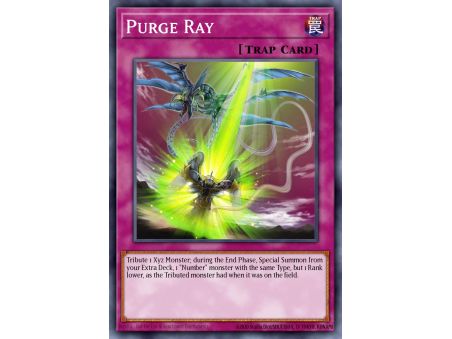 Purge Ray (Common)
