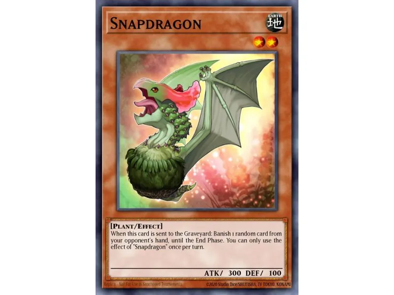 Snapdragon (Common)