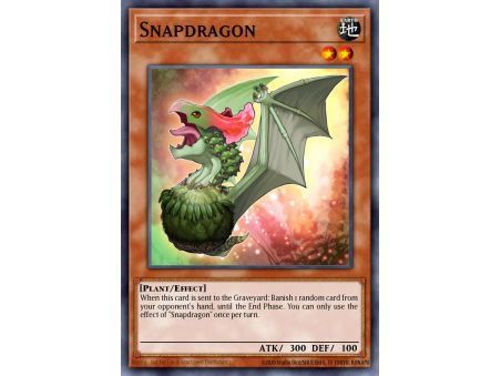 Snapdragon (Common)