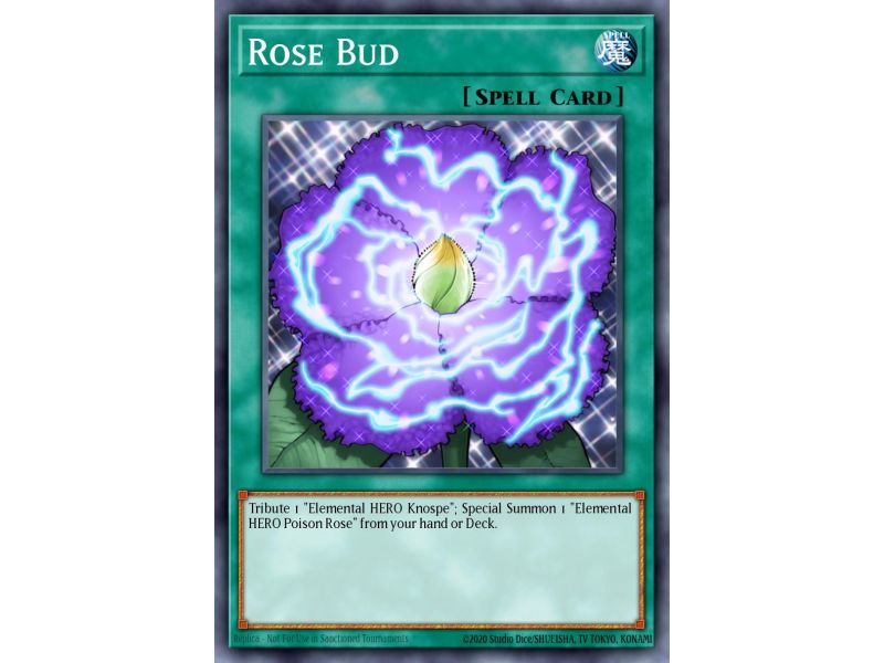Rose Bud (Rare)