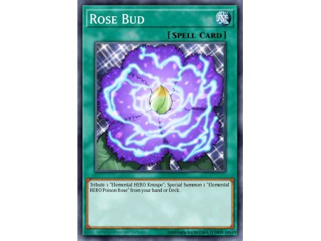 Rose Bud (Rare)