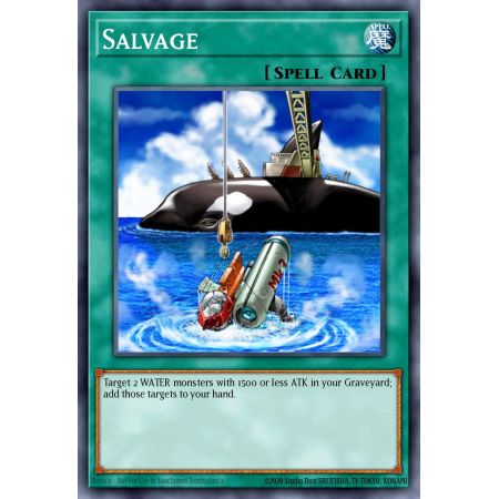Salvage (Super Rare)