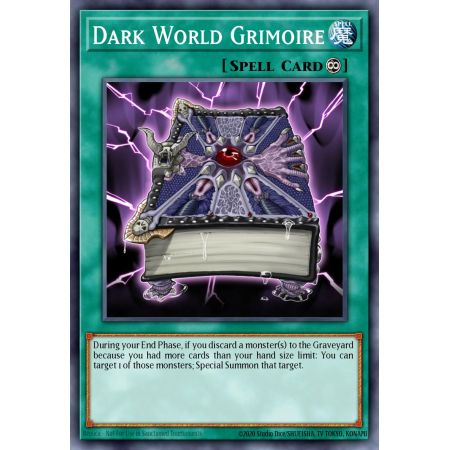 Dark World Grimoire (Common)