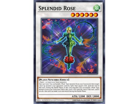 Splendid Rose (Rare)