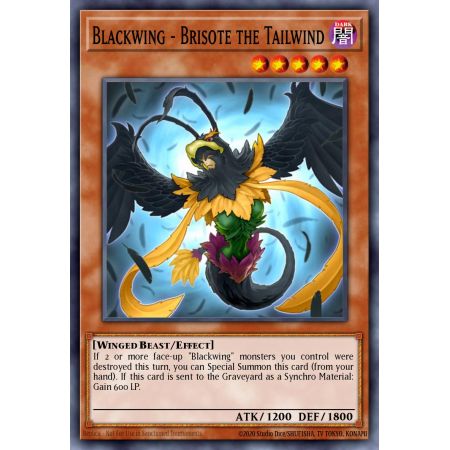 Blackwing - Brisote the Tailwind (Common)